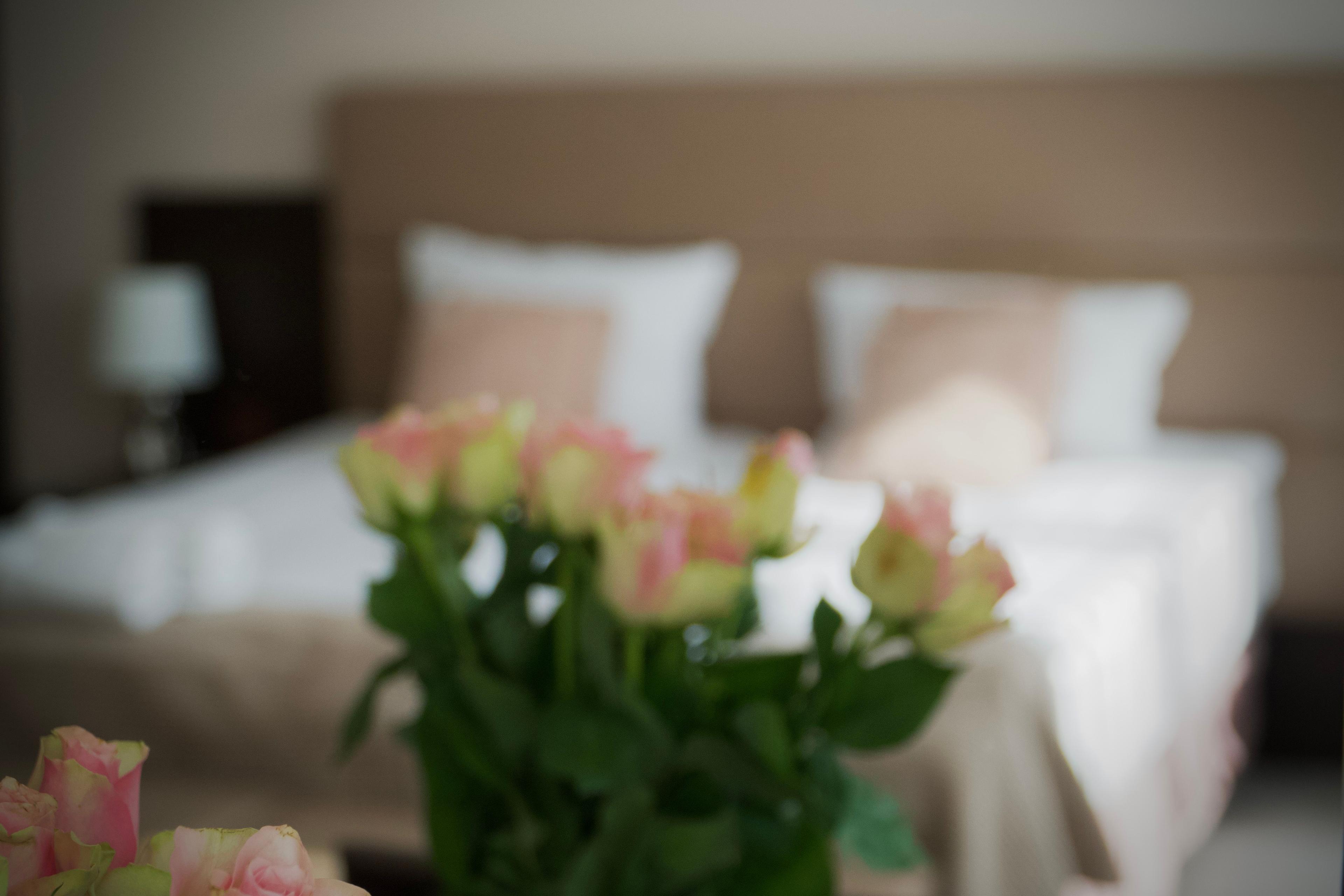 Roses with a bed in the background