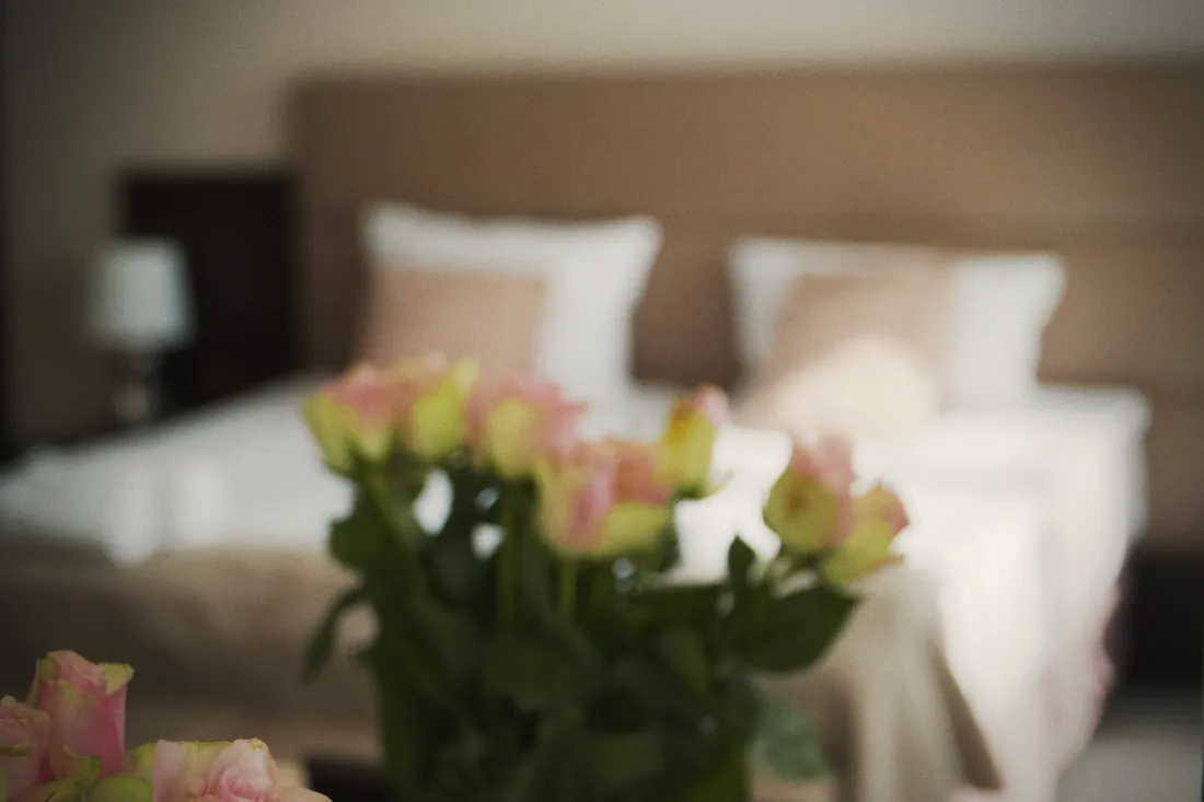 Roses with a bed in the background